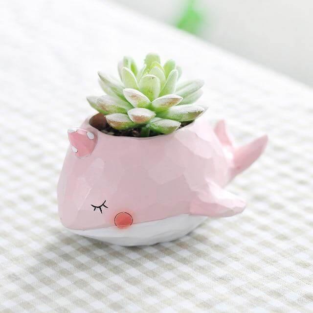 Creative Animals Mini Decorative Flower Pots - Image 6